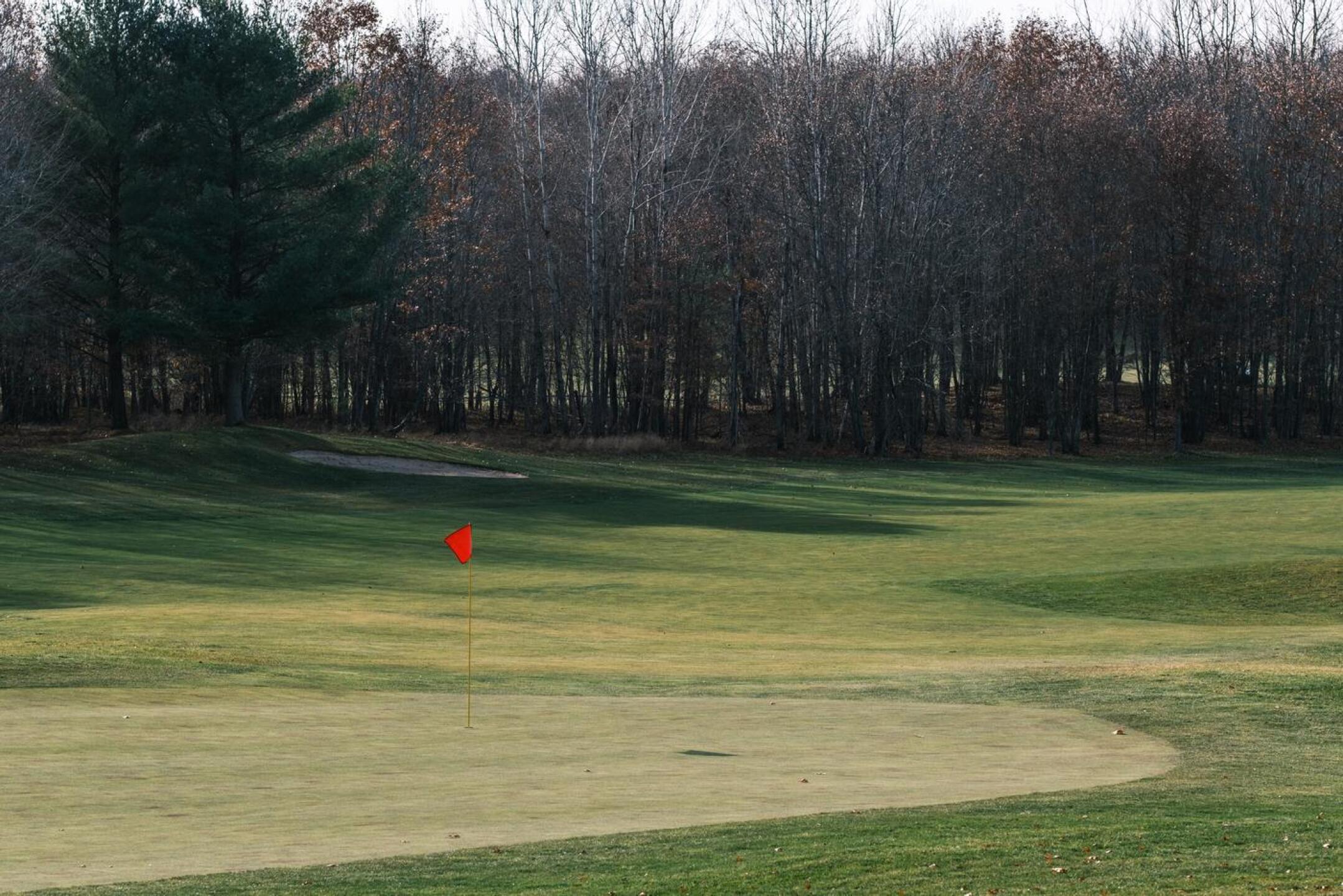 (Photo submitted by noahjurik on 11/09/2020)